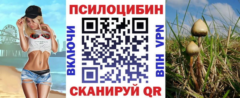 Псилоцибиновые грибы Magic Shrooms  Сочи 