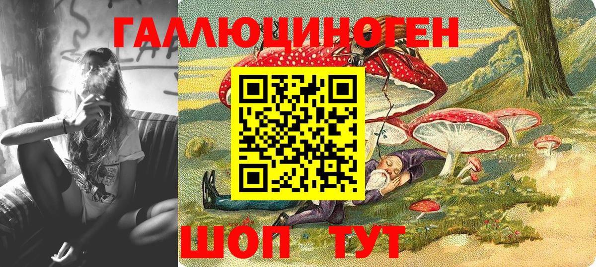 Галлюциногенные грибы Psilocybe  Вход с VPN  Сочи 