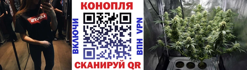 Каннабис планчик Сочи